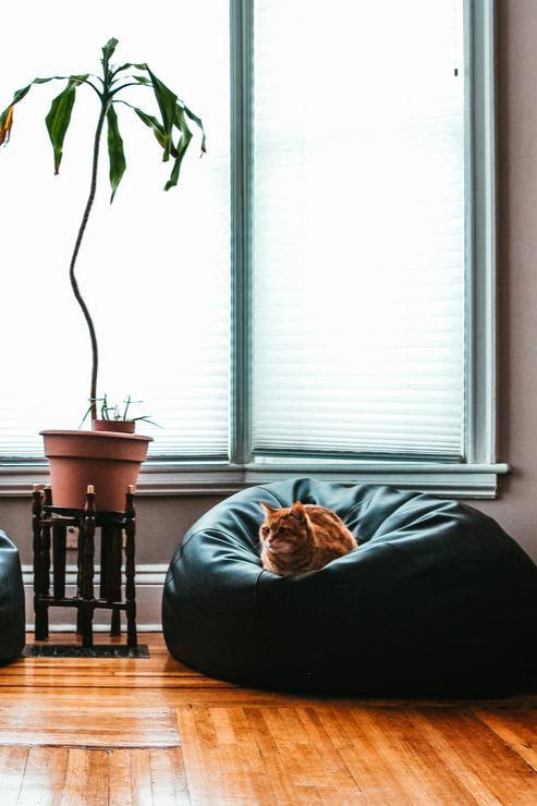 Black Beanbag