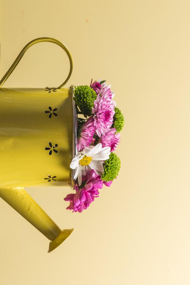 Yellow watering can