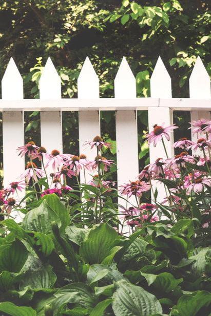 Wooden Fence