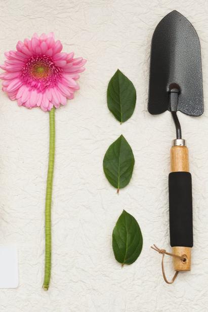 Gardening hand trowel